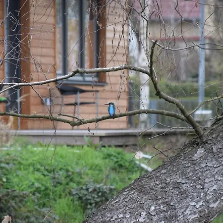 Klein Aber Fein, Am Tonteich アパート Königs Wusterhausen