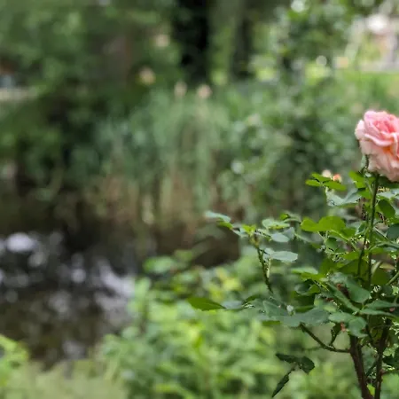 Lejlighed Klein Aber Fein, Am Tonteich *