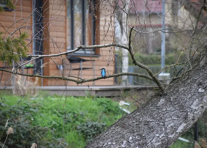 Klein Aber Fein, Am Tonteich アパート Königs Wusterhausen