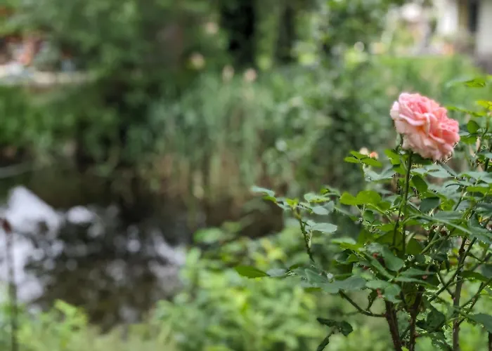 アパート Klein Aber Fein, Am Tonteich *